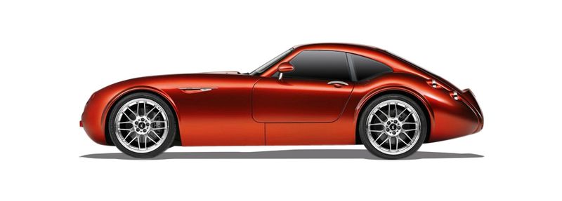 Логотип марки WIESMANN