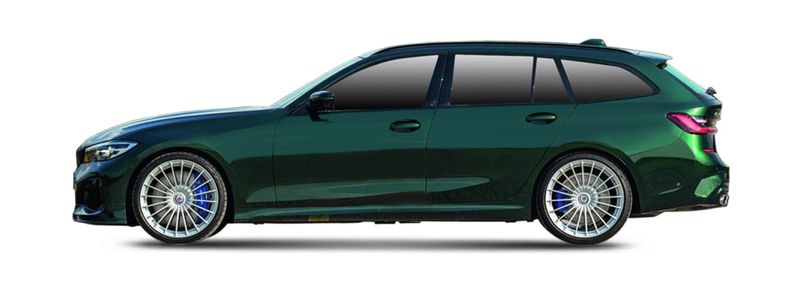 Логотип марки ALPINA